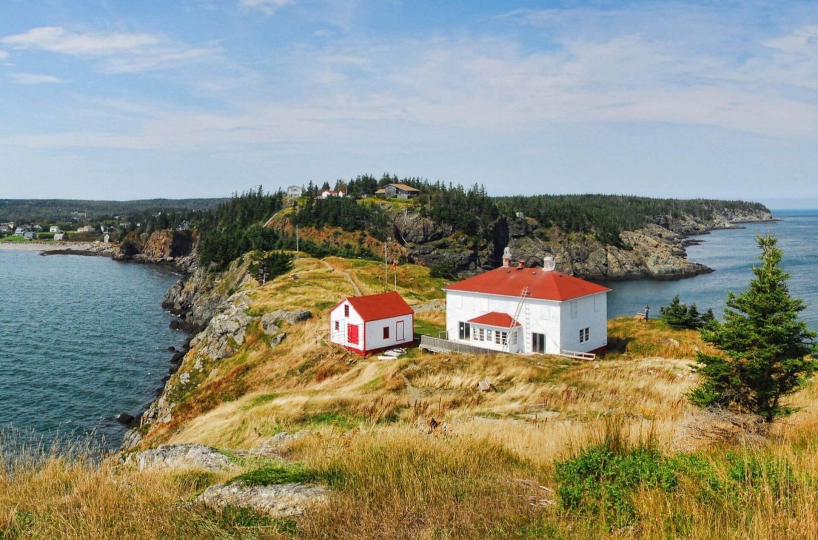 Whale Watching in New Brunswick